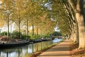 Le canal du Midi dans notre guide de sorties à Toulouse