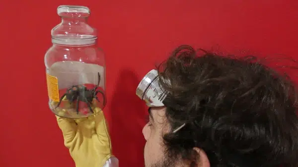 Équipe vivant l'escape game sensoriel L'Aventure Sensorielle de Tactisens à Toulouse